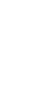 Shape 3